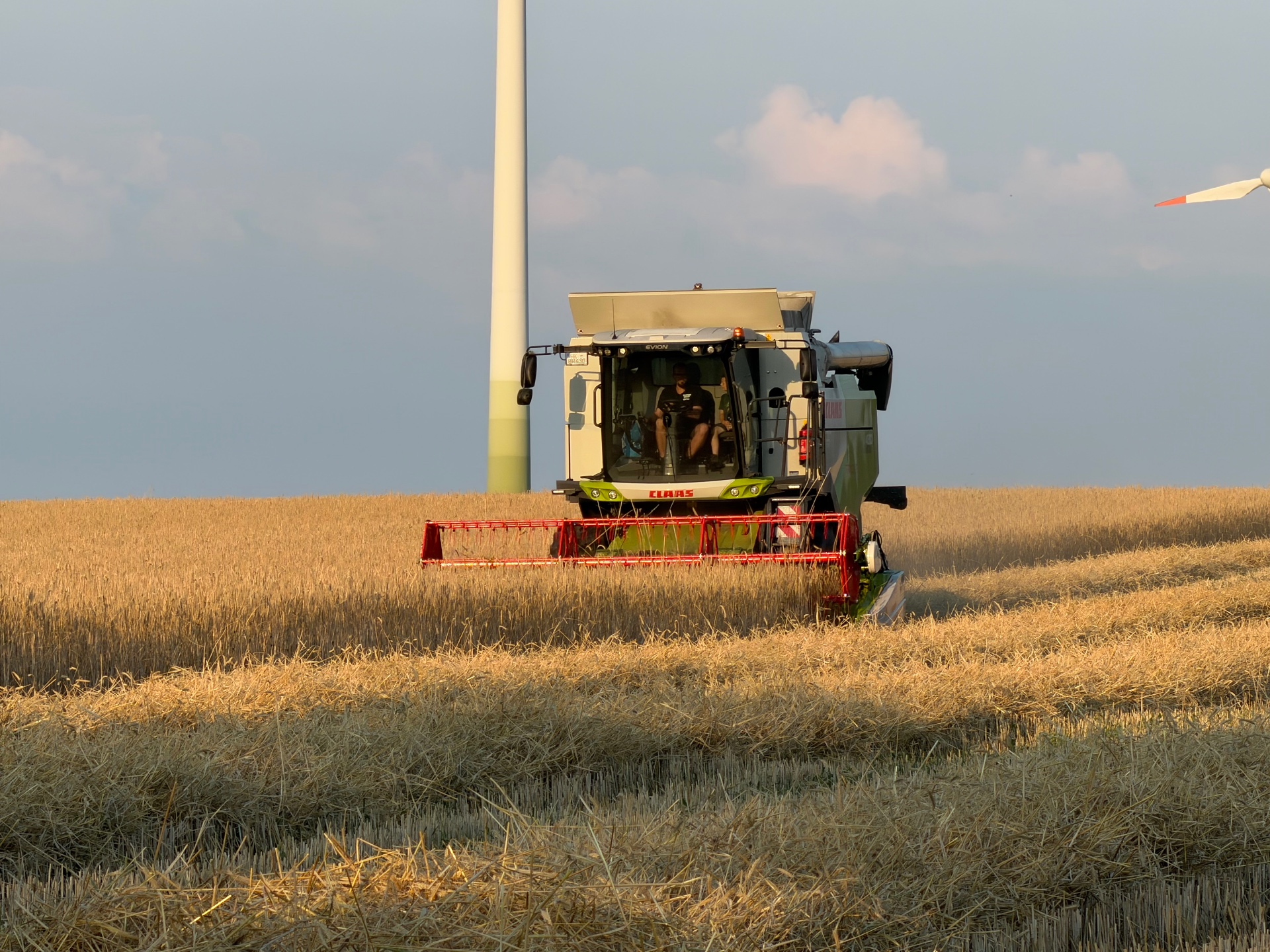 Claas Evion 430 beim Getreidedrusch im Feld